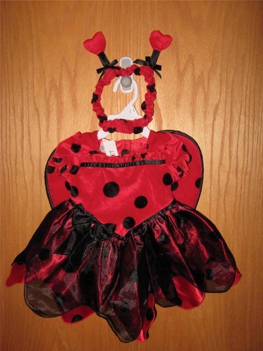 Costume halloween koala - halloween,