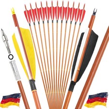 12 frecce in carbonio 30