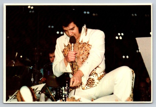 Elvis presley 1977 concerto - presley,
