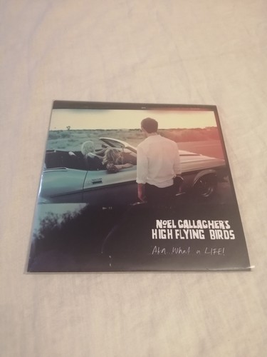 Noel gallagher high flying - gallagher's,
