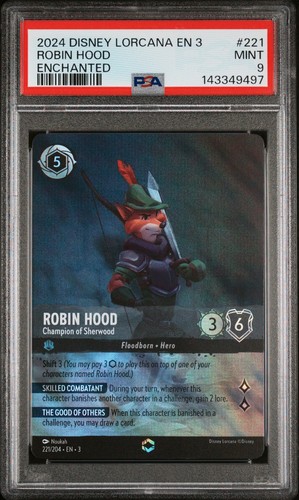 Robin hood campione - robin,