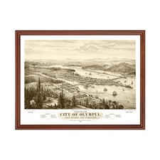 Vecchia mappa di Olimpia, WA 1878 - Vintage Olympia Washington Art