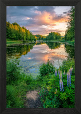 Lago al tramonto con lupini