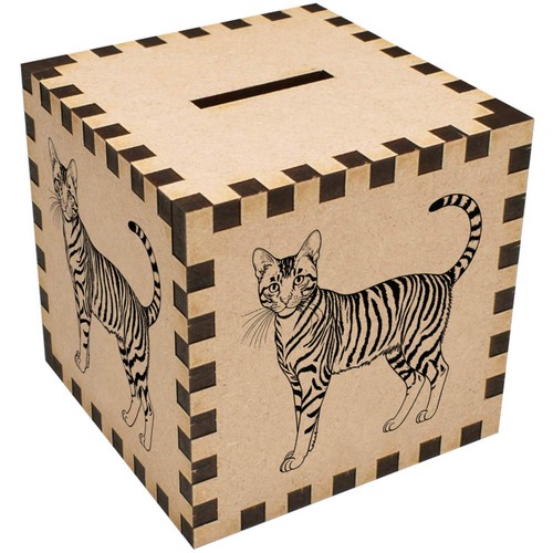Toyger cat money - 'toyger, box