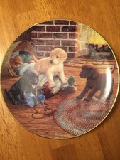 Danbury lotto come nuovi "Fowl