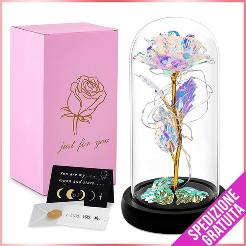 Rosa eterna bella la - rosa,