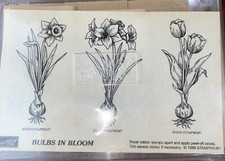 Lampadine Stampin Up in fiore