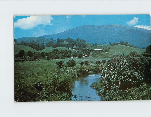 Cartolina veduta della foresta - della,