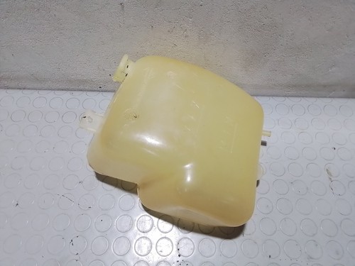 Vaschetta espansione radiatore
