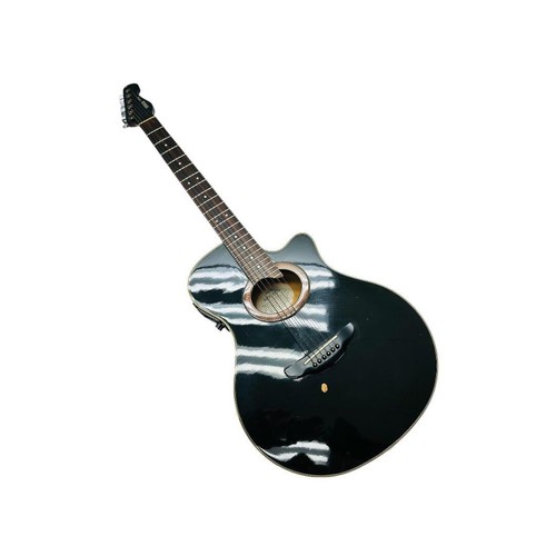 Chitarra elettrica acustica