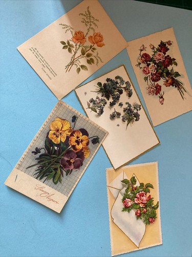 Unita cartoline fiori - unita’,