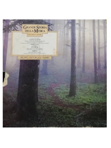 Vinile giri grande - vinile, 33