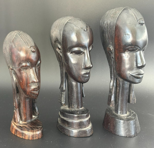 Busti legno ebano - in,