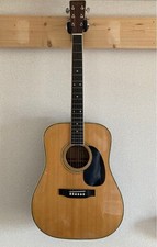 Chitarra acustica Tokai Cat's