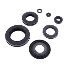 KIT GUARNIZIONI PARAOLI MOTORE