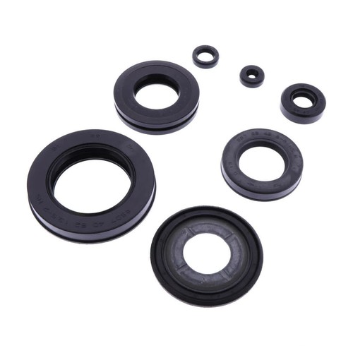 Kit guarnizioni paraoli motore - guarnizioni,