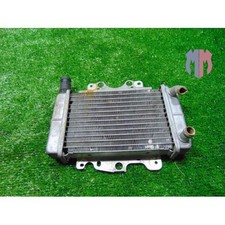 Radiatore acqua Malaguti Centro 50 2008 2011