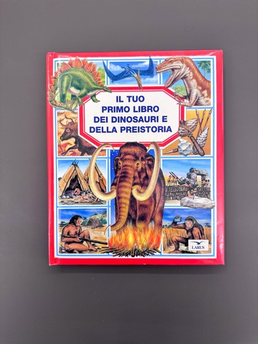 Tuo primo libro - il,