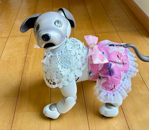 Sony aibo ers - ers-1000, vestiti