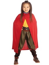 Rubies costume disney - costume,