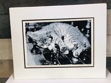 ORIGINALE "KATTINO SCACCHIERA"