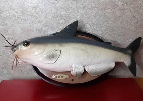 Gemmy cool catfish - gemmy, che