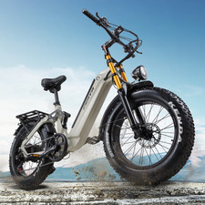 Bicicletta Elettrica 48V 20AH