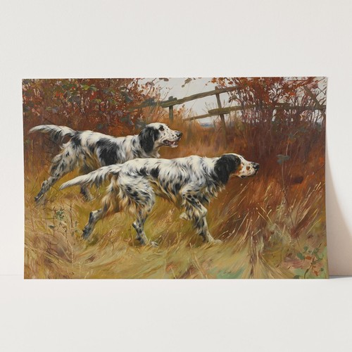 Quadro inglese setter cani