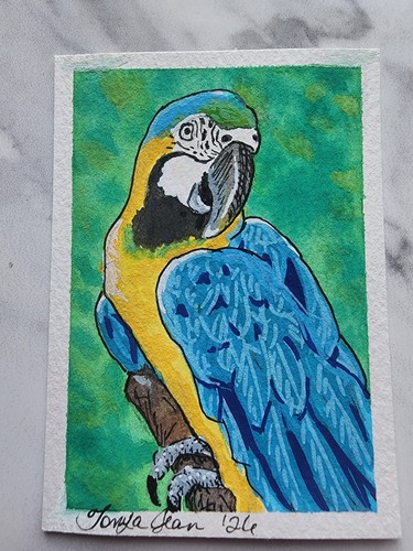 Aceo originale blu - originale, ara