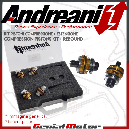 Andreani pistoni pompanti - andreani,