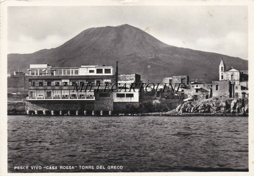Torre del greco pesce vivo - greco:,