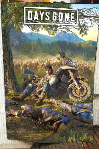 Days gone plaid - gone, in