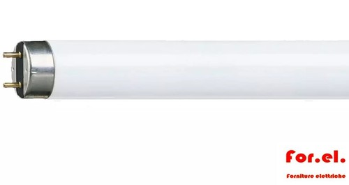 Philips lampadina neon - lampadina, master