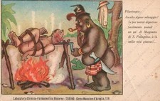 MAGNESIA S. Pellegrino selvaggio CUSSINO Torino Cartolina pubblicitaria