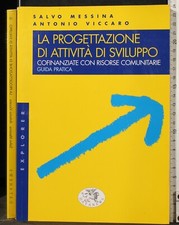 LA PROGETTAZIONE DI ATTIVITÀ DI SVILUPPO. MESSINA, VICCARO. DATANEWS.