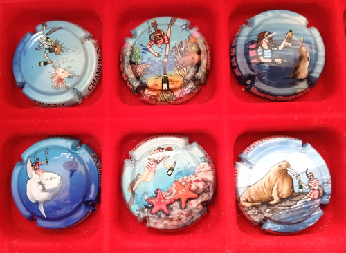 Lot capsules de champagne - 6,