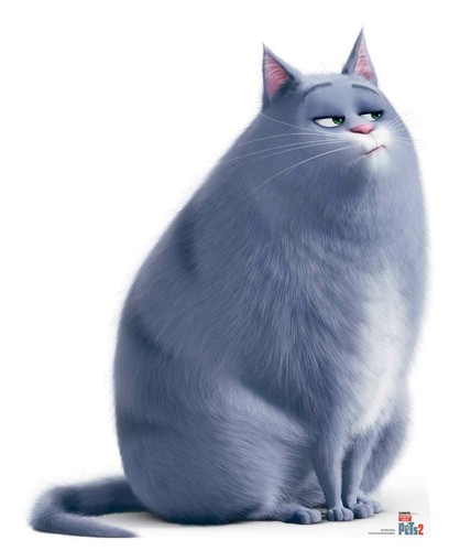 Chloe soriano gatto dal - chloe,