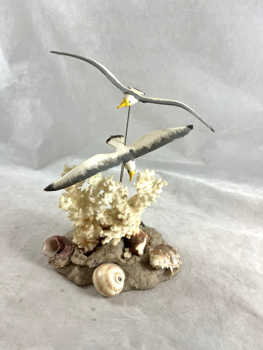 Conchiglie corallo gabbiani - corallo,