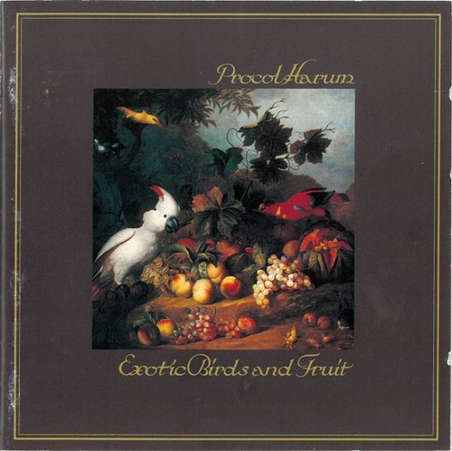 Procol harum exotic birds - exotic,