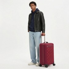 Valigia Louis Vuitton Horizon