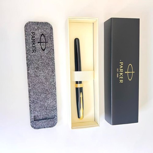 Penna stilografica parker - stilografica,