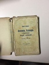 Schmell Raffaele - Anatomia