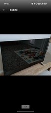 Android pollici xiaomi - tv, 43
