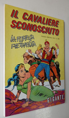 Cavaliere sconosciuto 5 - cavaliere,