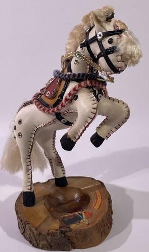 Cavallo spagnolo bicolore
