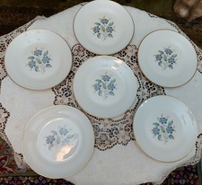  Richard Ginori set da dolce