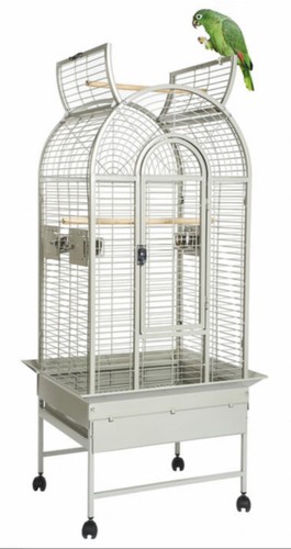 Parrot supplies california - parrot-supplies,