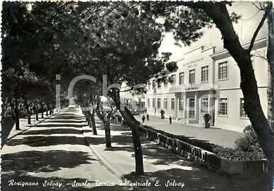 1951 rosignano marittimo - marittimo, (li)