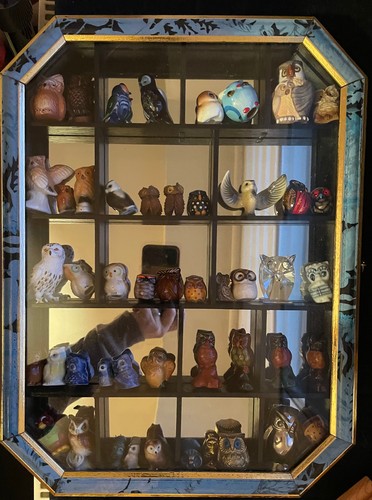 Collezione gufi vetrina da - gufi,