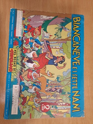 Nel regno topolino - regno,